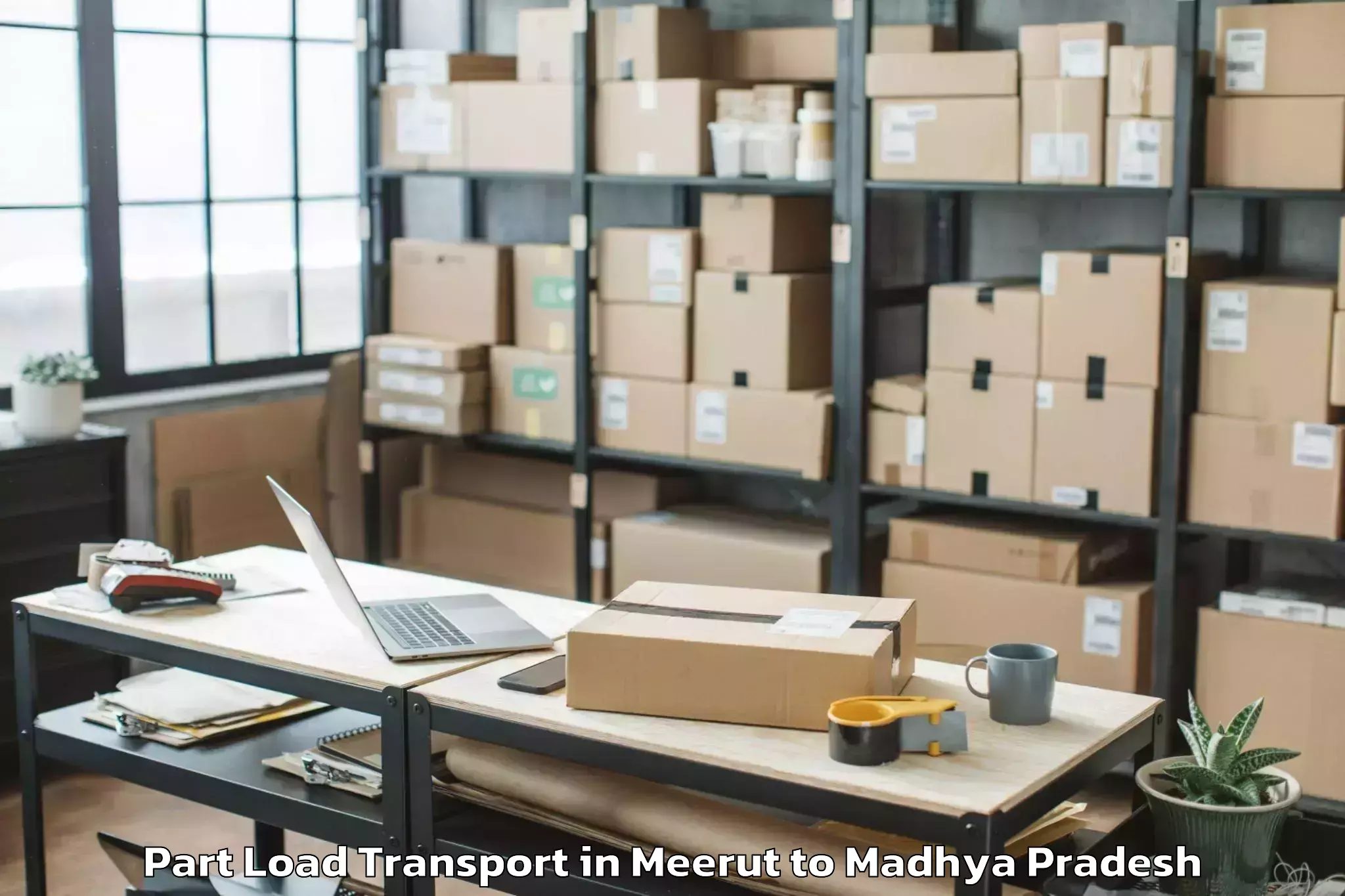 Book Meerut to Thikri Part Load Transport Online